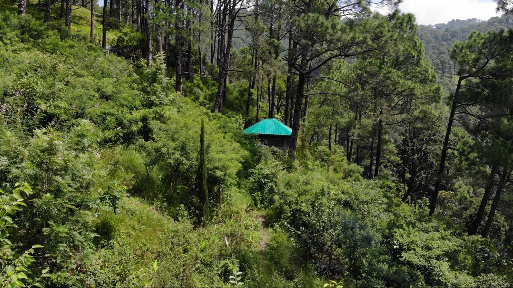 Heal Farm - Himalayan Eco Alternative Lifestyle For Agriculture Recreation And Meditation Nainital Eksteriør billede
