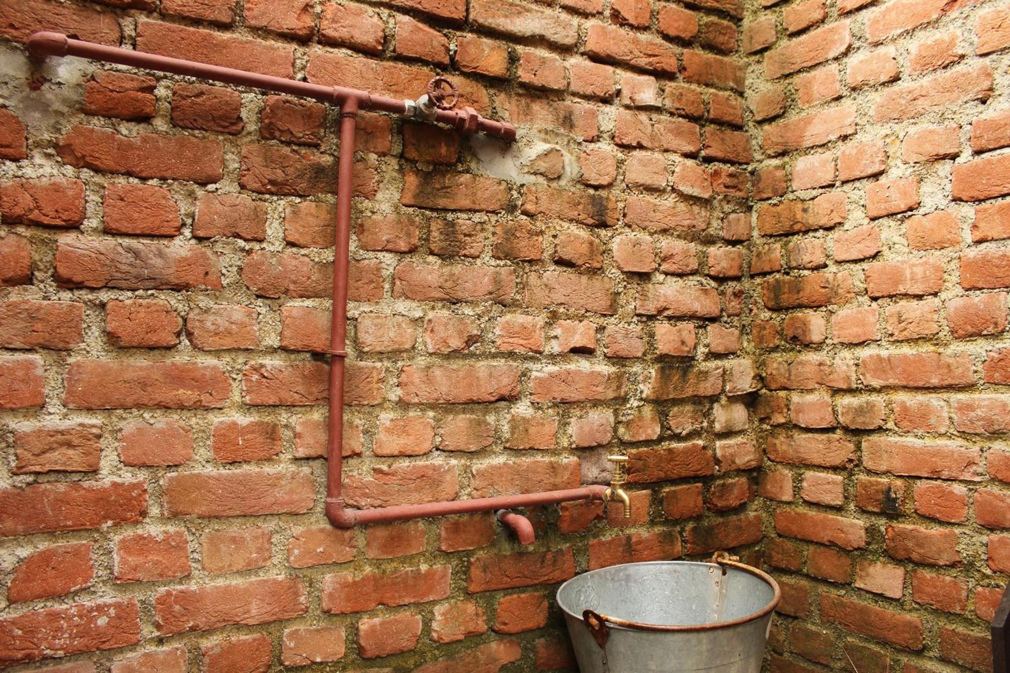 Heal Farm - Himalayan Eco Alternative Lifestyle For Agriculture Recreation And Meditation Nainital Eksteriør billede