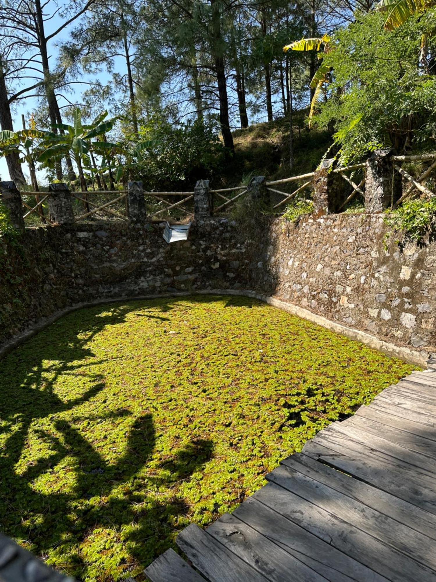 Heal Farm - Himalayan Eco Alternative Lifestyle For Agriculture Recreation And Meditation Nainital Eksteriør billede